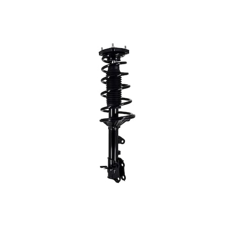 Fcs Struts COMPLETE STRUT ASSEMBLY 1333582L